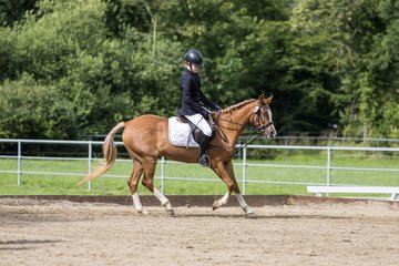 Bild 94 - Pony Akademie Turnier